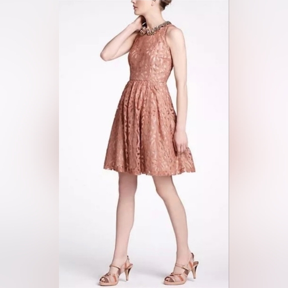 Plenty by Tracy Reese Mariposa Lace Dress - Size 2 - Picture 1 of 12